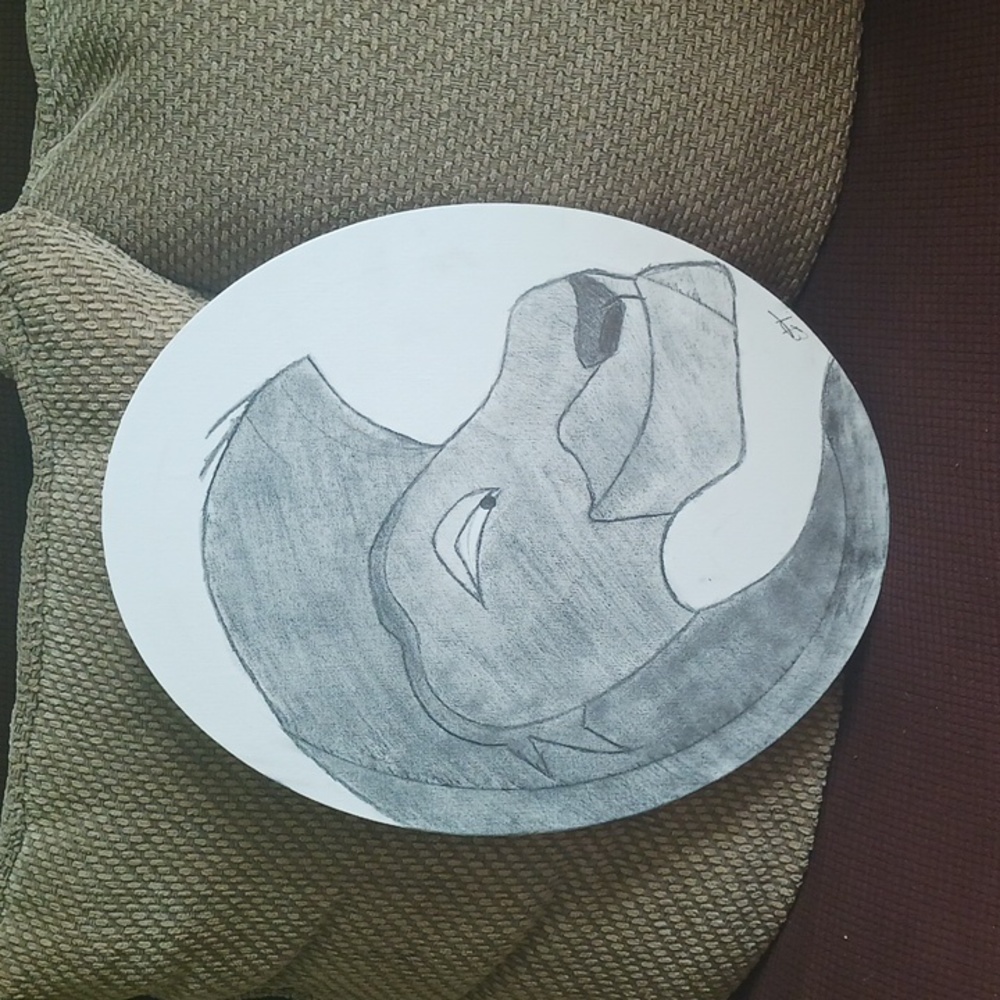 New Hand Drawn Lion on Canvas